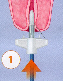 6a5e104e001635d87443 - Image 2